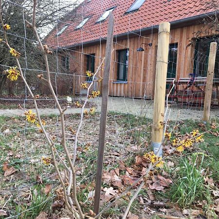 Broockhof Ferienwohnung Unterm Sternenhimmel In Mecklenburg Reimershagen Bagian luar foto