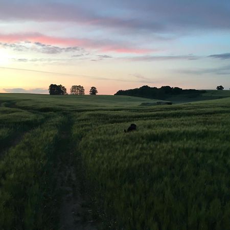 Broockhof Ferienwohnung Unterm Sternenhimmel In Mecklenburg Reimershagen Bagian luar foto