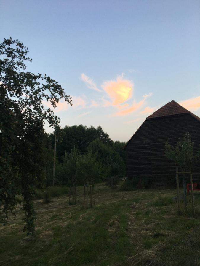 Broockhof Ferienwohnung Unterm Sternenhimmel In Mecklenburg Reimershagen Bagian luar foto