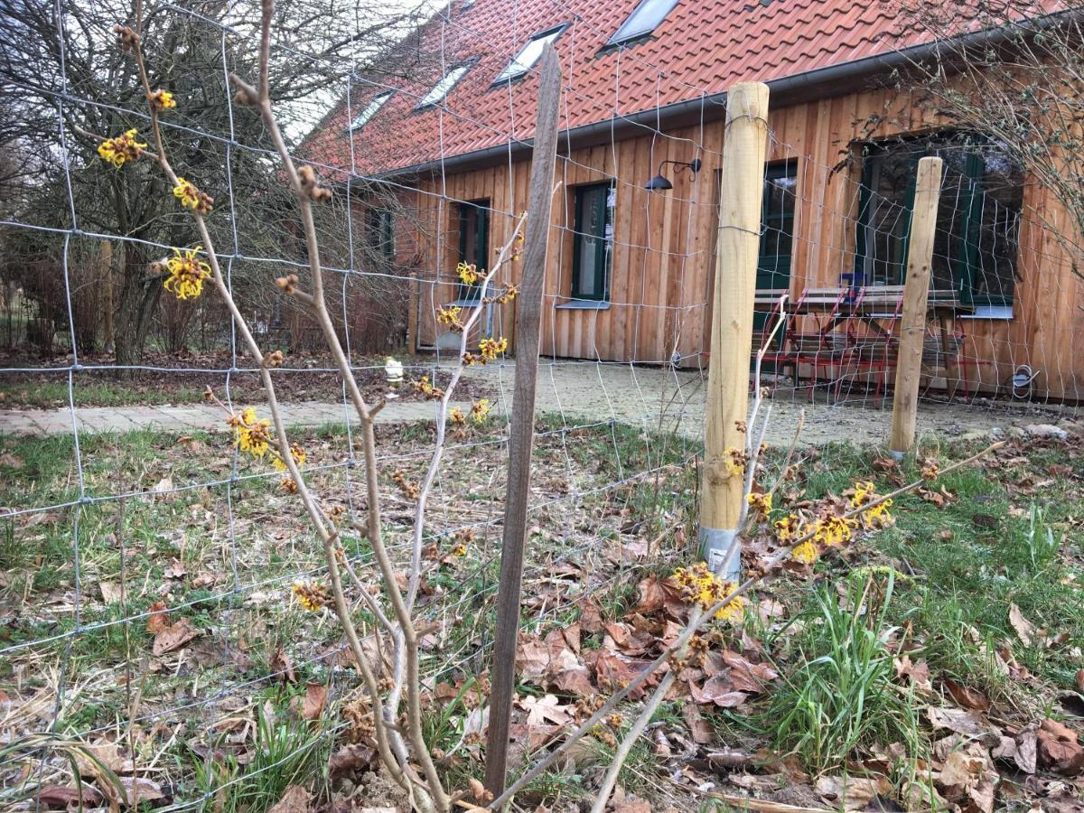 Broockhof Ferienwohnung Unterm Sternenhimmel In Mecklenburg Reimershagen Bagian luar foto